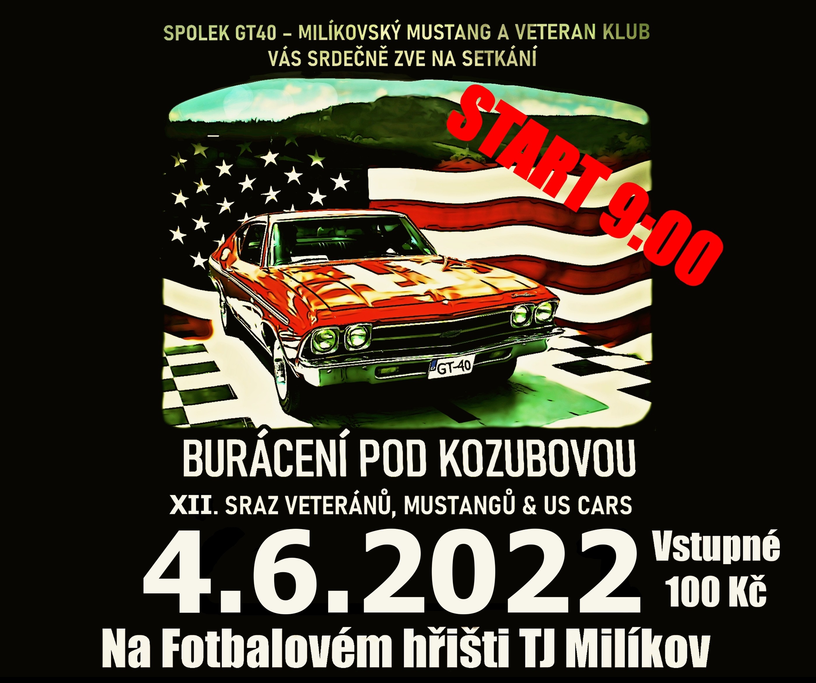 Plakát ročníku: XII. Sraz veteránů, Mustangů & US Cars