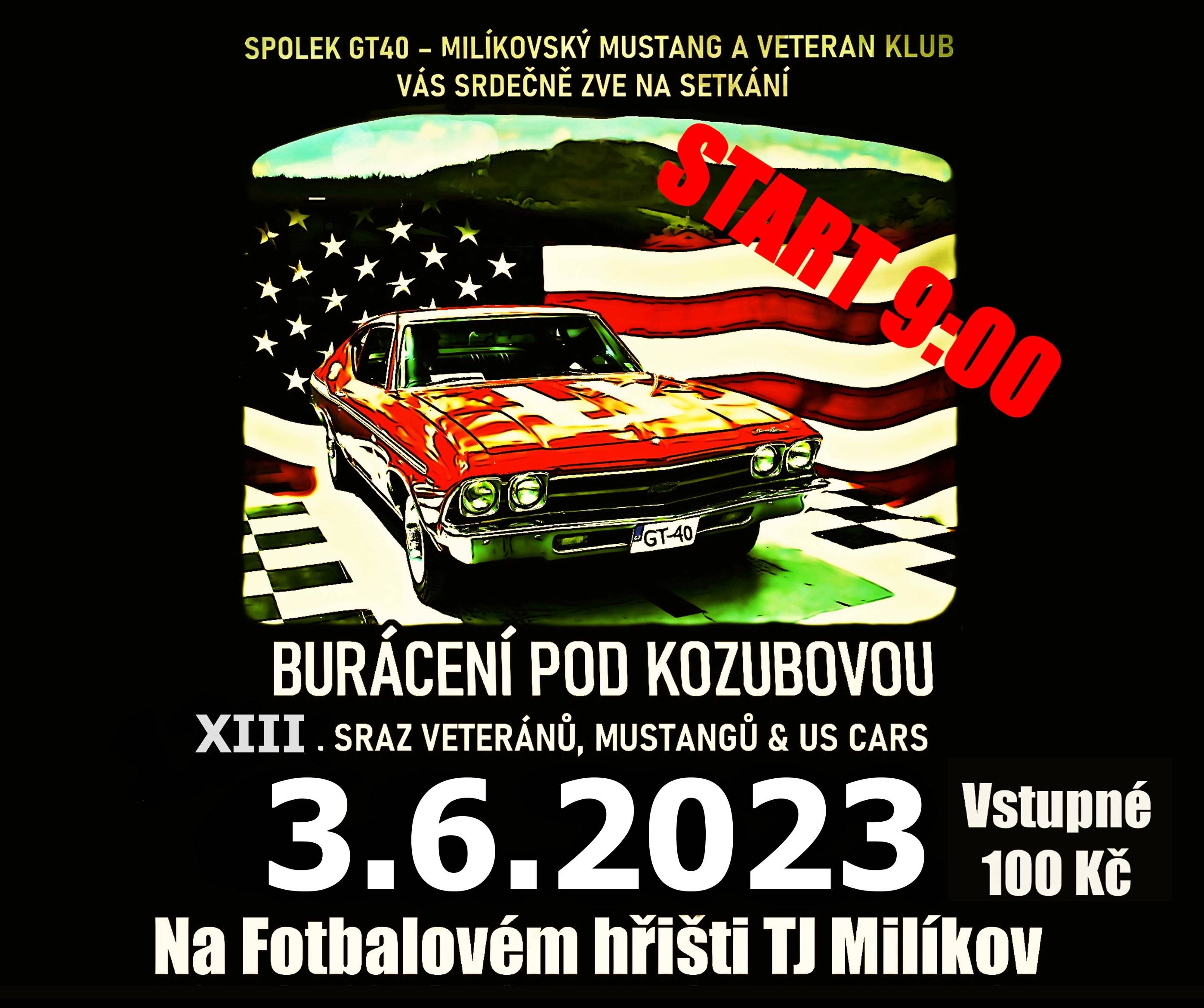 Plakát ročníku: XIII. Sraz veteránů, Mustangů & US Cars