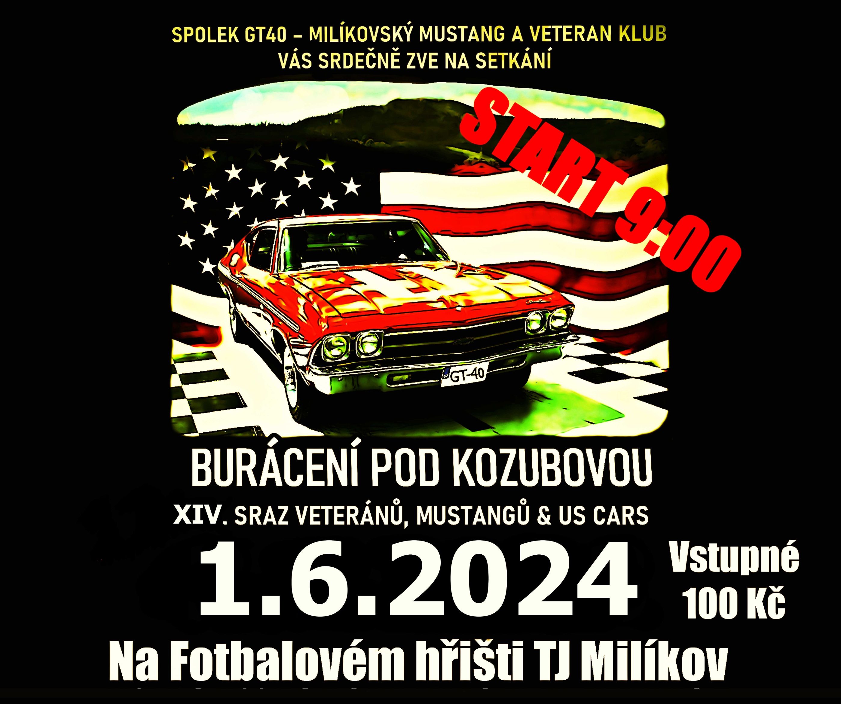 Plakát ročníku: XIV. Sraz veteránů, Mustangů & US Cars