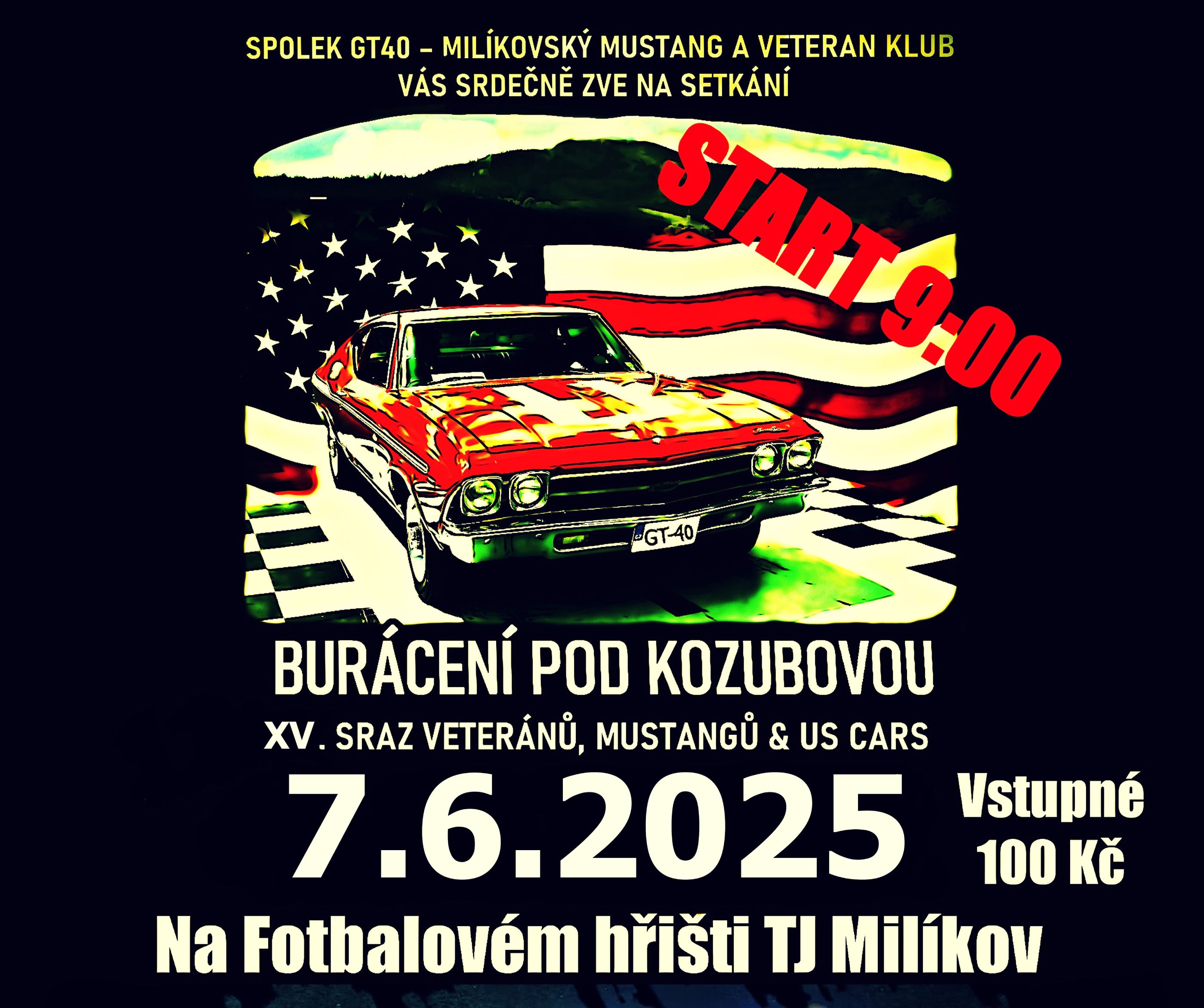 Plakát ročníku: XV. Sraz veteránů, Mustangů & US Cars