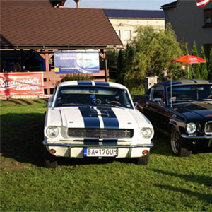 Plakát ročníku: Sraz Mustangů 2009