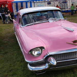 Plakát ročníku: Sraz Mustangů 2013